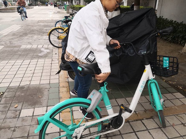 竞彩网