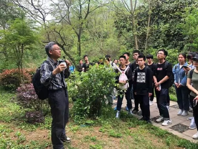 竞彩网